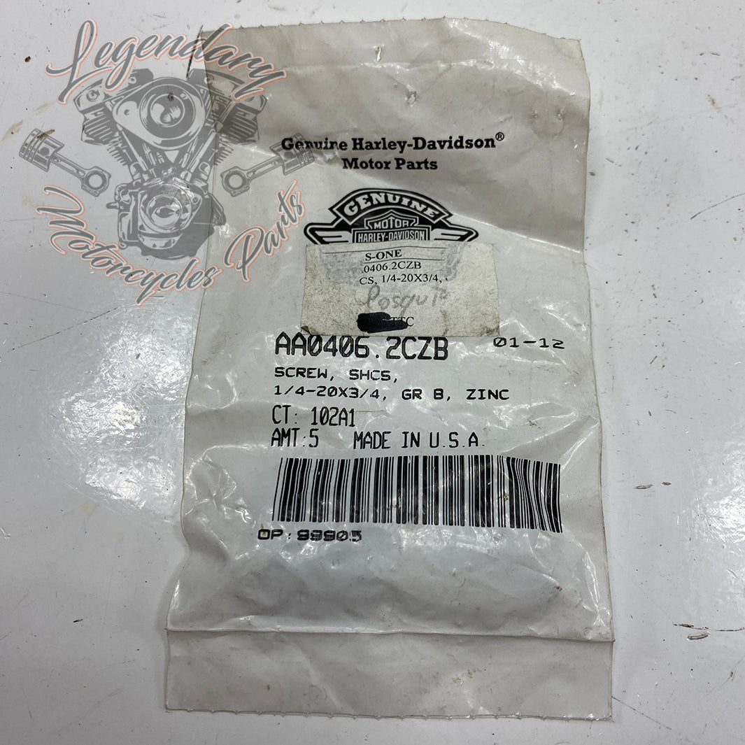 Vis OEM AA0406.2CZB